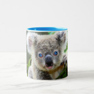 Koala Bears Zweifarbige Tasse