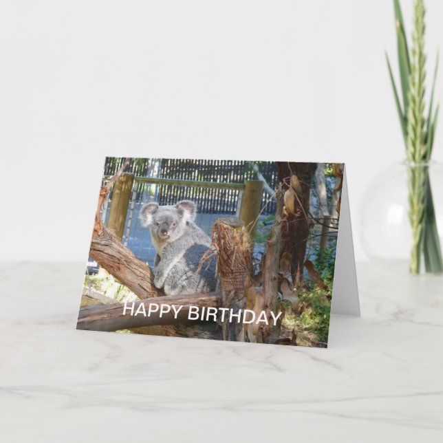 Koala Birthday Karte (Vorderseite)