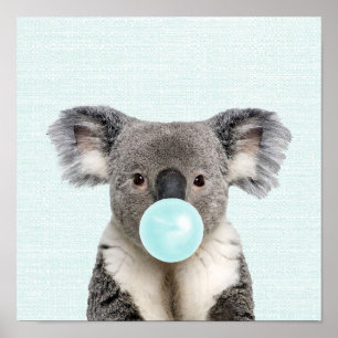 Koala Blasst ein blaues Blasen-Kaugummi-Poster Poster