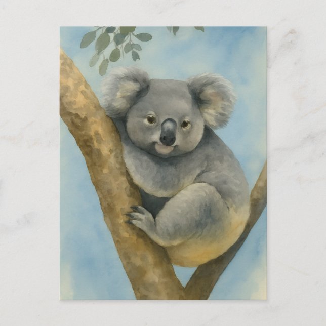 Koala Calm - Wasserfarbenwelt Postkarte (Vorderseite)