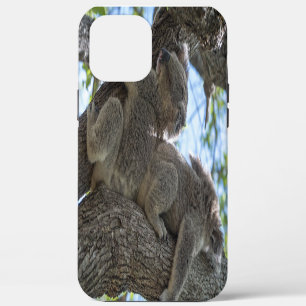 Koala Case-Mate iPhone Hülle
