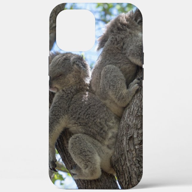 Koala Case-Mate iPhone Hülle (Rückseite)