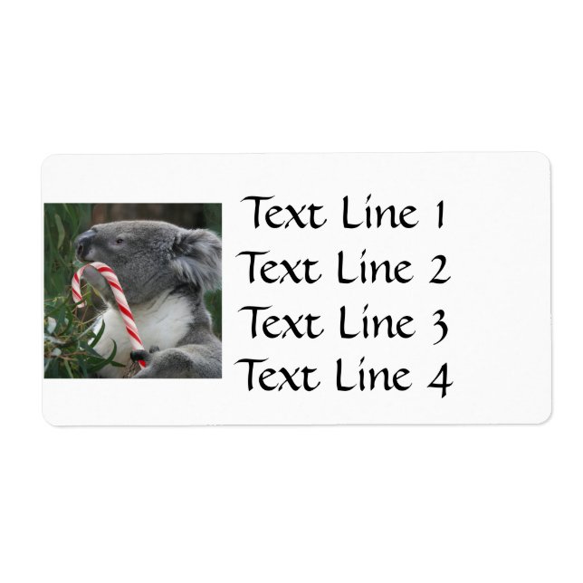 Koala Christmas Candy Cane (Vorne)