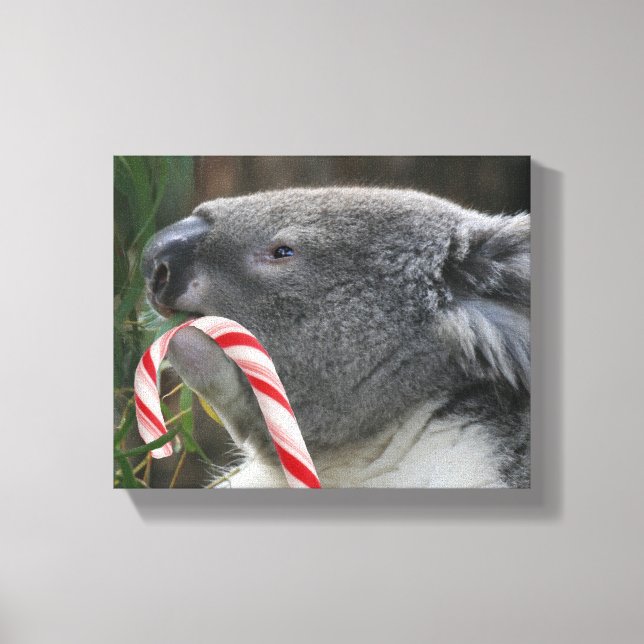 Koala Christmas Candy Cane Leinwanddruck (Vorderseite)