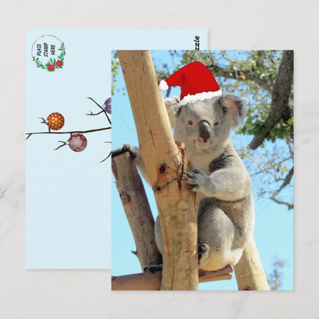 Koala Christmas Postcard Postkarte (Vorne/Hinten)
