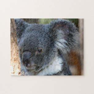 Koala Close Up, Jigsaw Puzzle
