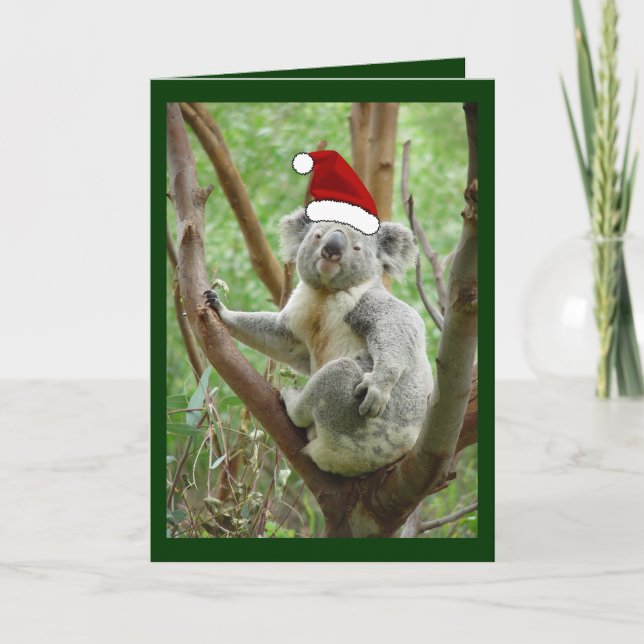 Koala dans la carte de Noël de photo de casquette (Devant)