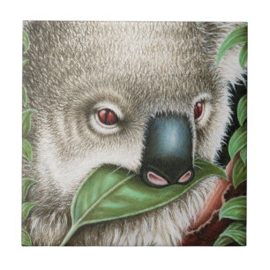 Koala, der eine Blatt-Fliese kaut Fliese
