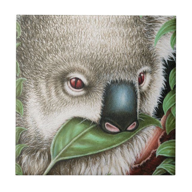 Koala, der eine Blatt-Fliese kaut Fliese (Vorderseite)