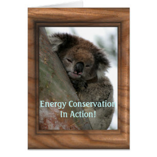 Koala - Energy Conservationist Extraordinaire !