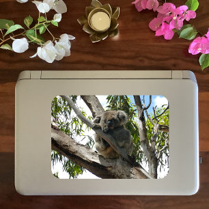 Koala - Étiquettes Cadeaux couchés