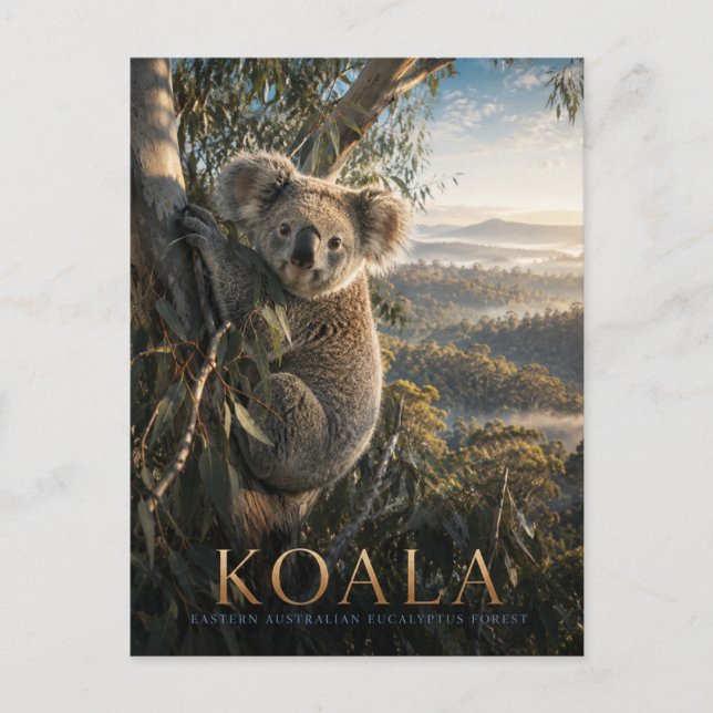 Koala-Eukalyptuswald TIERE Postkarte (Vorderseite)