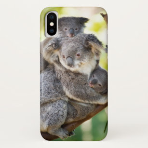 Koala Familie mit Mutter und zwei niedlichen Babys Case-Mate iPhone Hülle