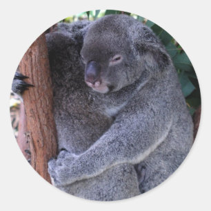 Koala-Familien-Aufkleber Runder Aufkleber