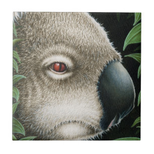 Koala-Fliese Fliese