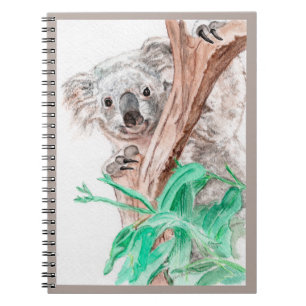 Koala, Flüchtige Blick-a-Boo Notizblock