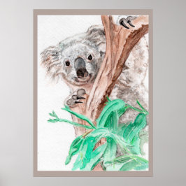 Koala, Flüchtige Blick-a-Boo Poster