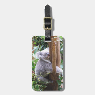 Koala-Gepäckanhänger Gepäckanhänger