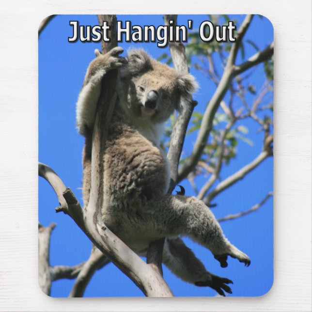 Koala Hangout in Australien Mousepad (Vorne)