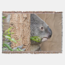 Koala-Headshot Decke