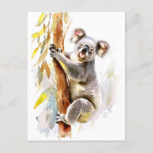 Koala Highlights