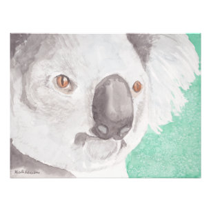 Koala I Fotodruck
