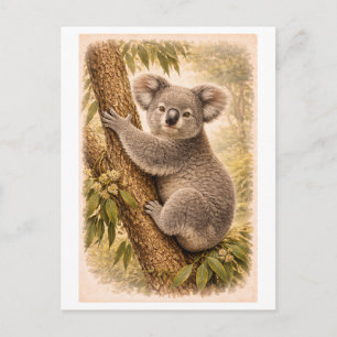 Koala-Illustration im Vintage-Stil Postkarte