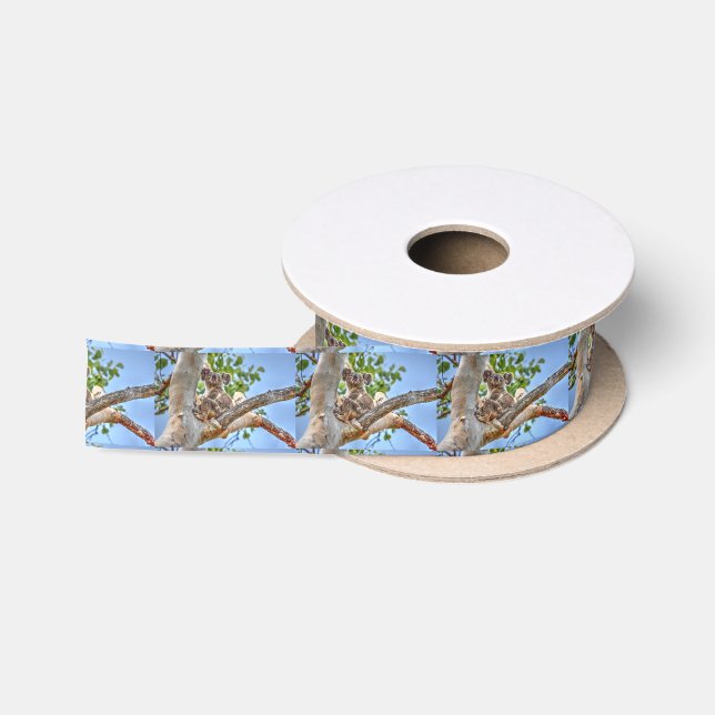 KOALA IN DEN BAUM-AUSTRALIEN-KUNST-EFFEKTEN SATINBAND (Spule)