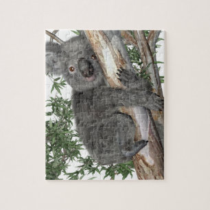 Koala in einem Baum