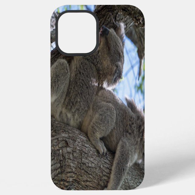 Koala iPhone 12 Pro Max Hülle (Rückseite)
