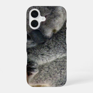 Koala iPhone 16 Hülle