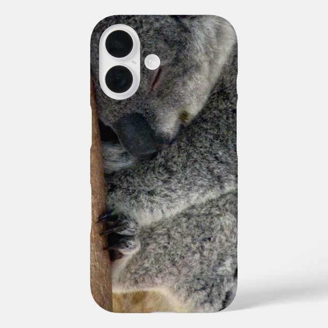 Koala iPhone 16 Hülle (Rückseite)