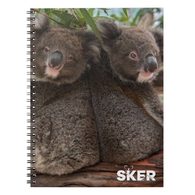 Koala Joeys violet et crumble carnet (Devant)