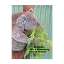 Koala Kindness Quote Postcard