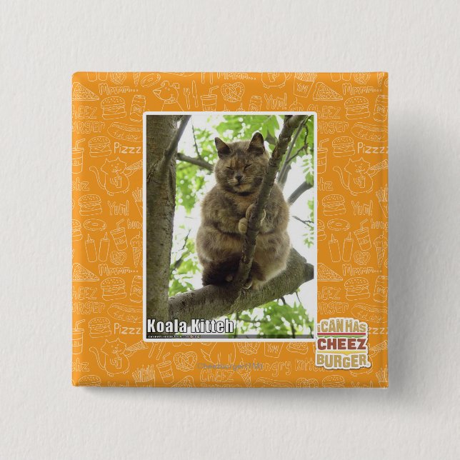 Koala Kitteh Button (Vorderseite)