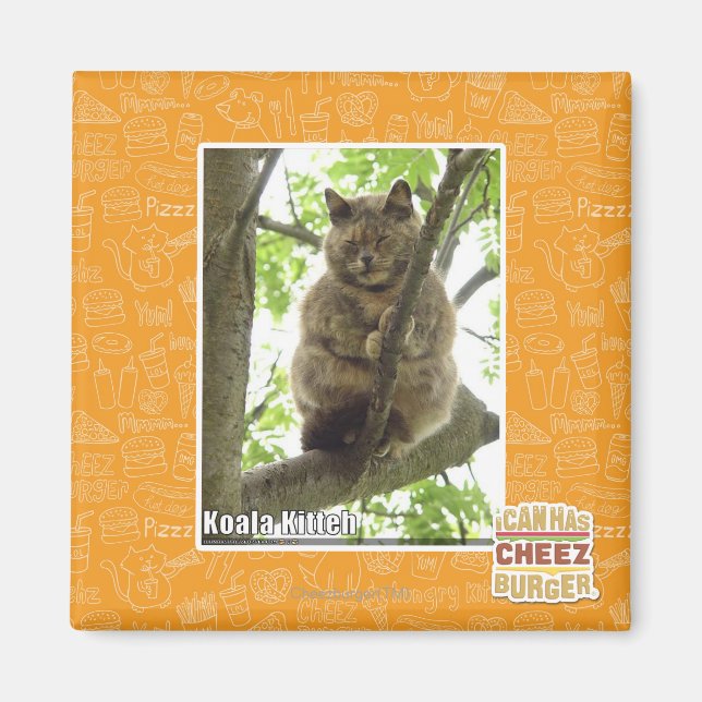 Koala Kitteh Magnet (Vorne)