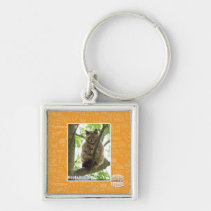Koala Kitteh Schlüsselanhänger