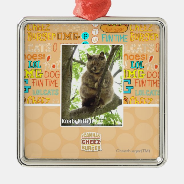 Koala Kitteh Silbernes Ornament (Vorne)