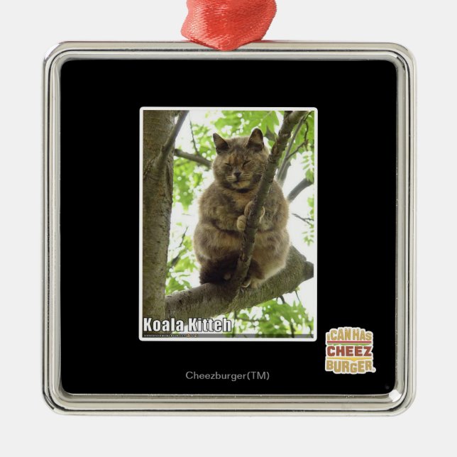 Koala Kitteh Silbernes Ornament (Vorne)