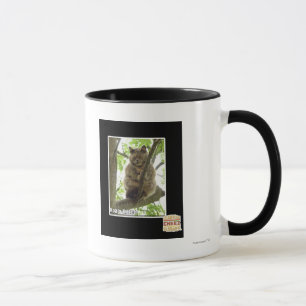 Koala Kitteh Tasse