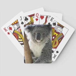 Koala Lächeln Spielkarten