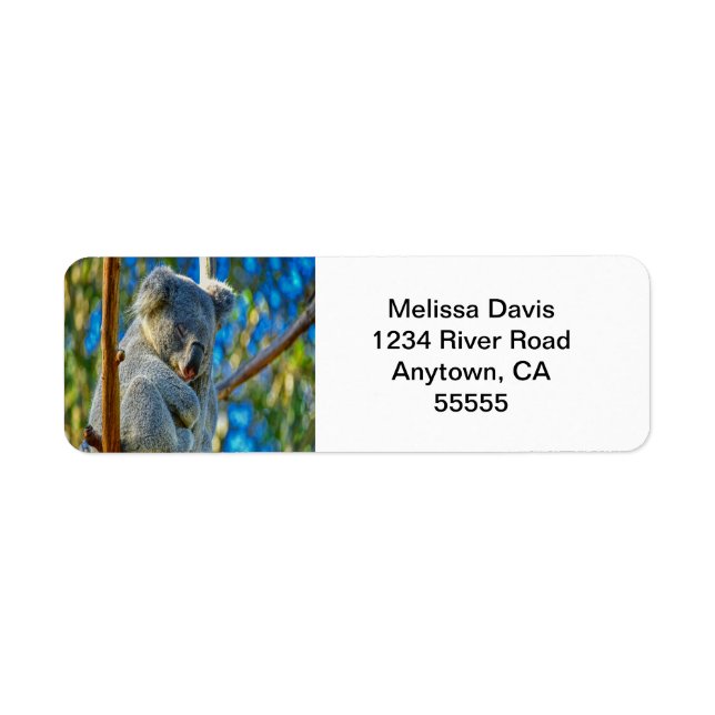 Koala Liebe Address Labels (Vorne)