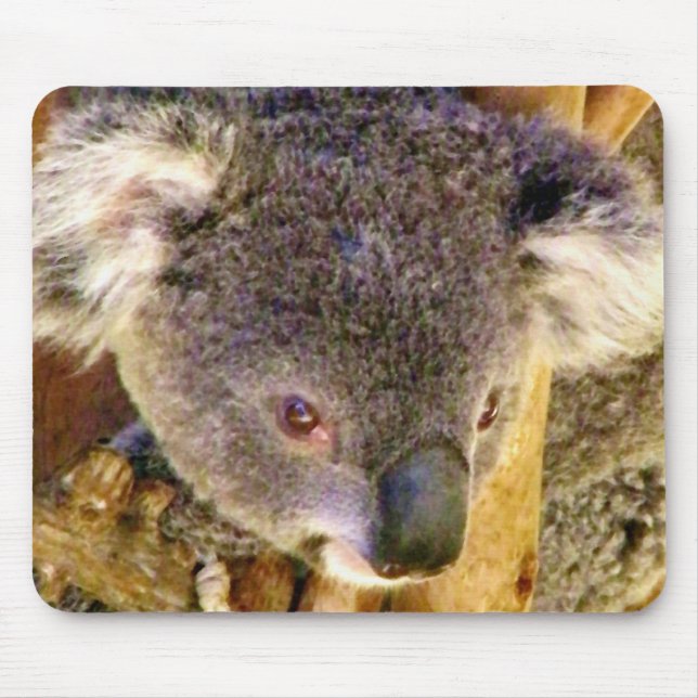Koala Liebe_ Mousepad (Vorne)