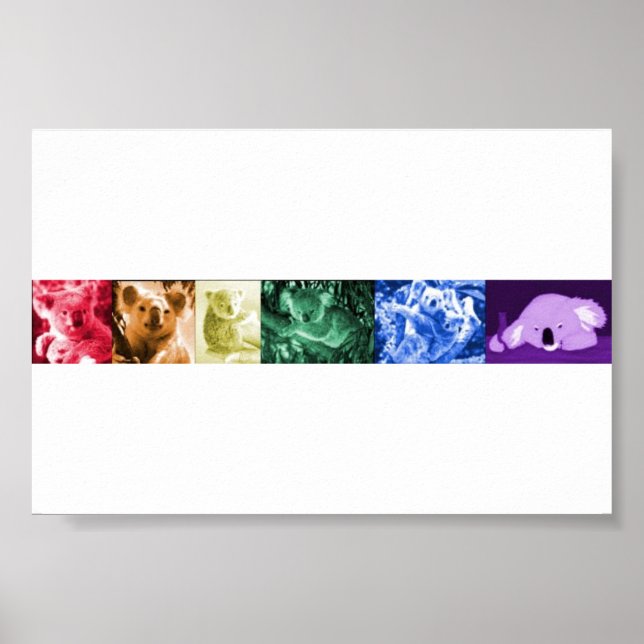 Koala Liebe Poster (Vorne)