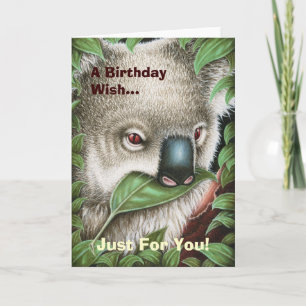 Koala mâchant une carte d'anniversaire de feuille