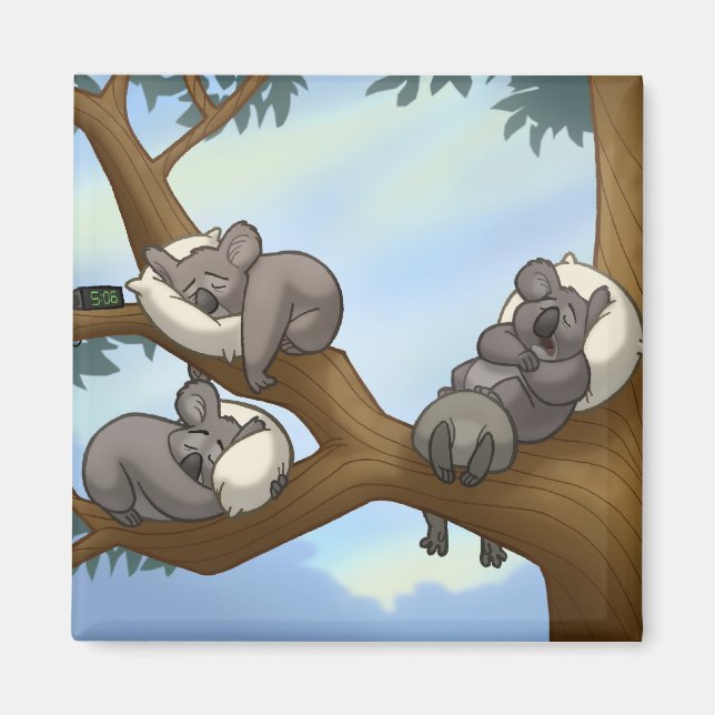 Koala Magnet (Vorne)