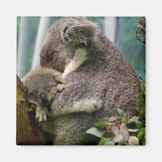 Koala Mama und New Baby Magnet