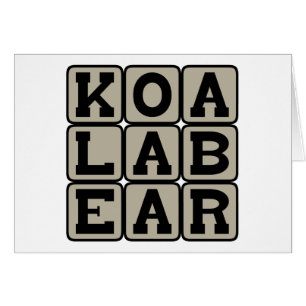 Koala, marsupial australien