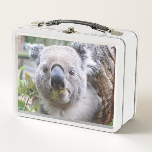 Koala Metall Brotdose
