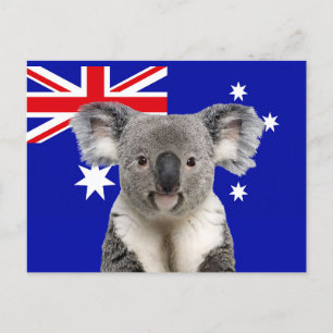 Koala mit australischem Flaggenhintergrund Postkarte